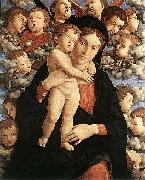 Andrea Mantegna The Madonna of the Cherubim oil